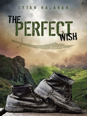 cover image of The Perfect Wish